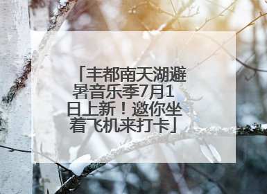 丰都南天湖避暑音乐季7月1日上新！邀你坐着飞机来打卡