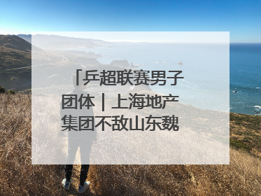 乒超联赛男子团体｜上海地产集团不敌山东魏桥·向尚运动