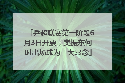 乒超联赛第一阶段6月3日开票，樊振东何时出场成为一大悬念