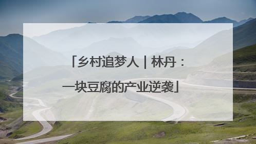 乡村追梦人｜林丹：一块豆腐的产业逆袭
