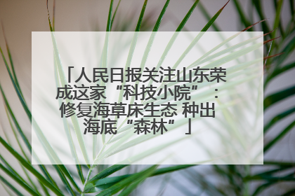 人民日报关注山东荣成这家“科技小院”：修复海草床生态 种出海底“森林”