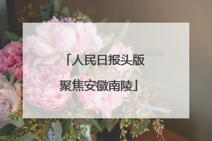 人民日报头版聚焦安徽南陵