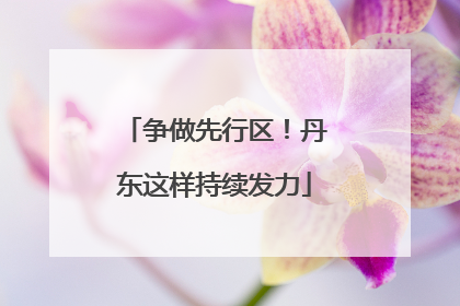 争做先行区！丹东这样持续发力