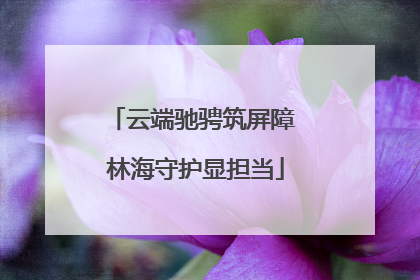 云端驰骋筑屏障 林海守护显担当
