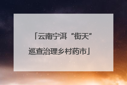 云南宁洱“街天”巡查治理乡村药市