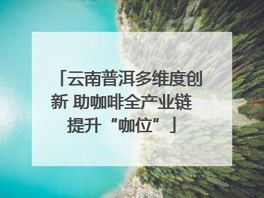 云南普洱多维度创新 助咖啡全产业链提升“咖位”