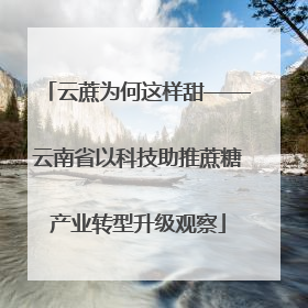 云蔗为何这样甜——云南省以科技助推蔗糖产业转型升级观察