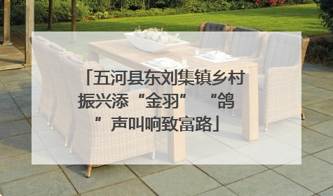 五河县东刘集镇乡村振兴添“金羽” “鸽”声叫响致富路