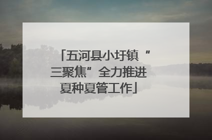 五河县小圩镇“三聚焦”全力推进夏种夏管工作
