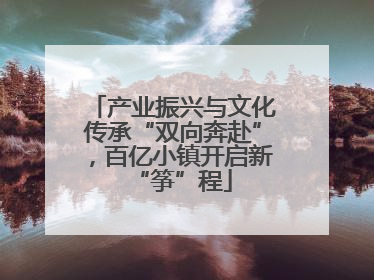产业振兴与文化传承“双向奔赴”，百亿小镇开启新“筝”程