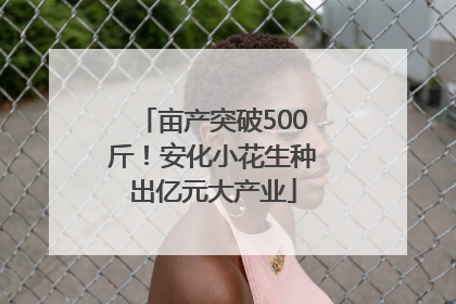 亩产突破500斤！安化小花生种出亿元大产业