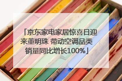 京东家电家居惊喜日迎来董明珠 带动空调品类销量同比增长100%