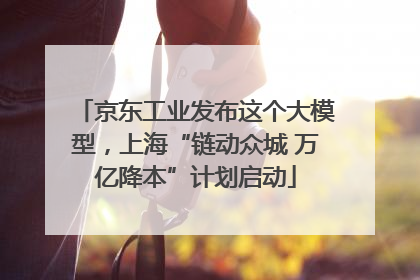 京东工业发布这个大模型，上海“链动众城 万亿降本”计划启动