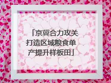 京冀合力攻关打造区域粮食单产提升样板田