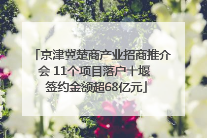 京津冀楚商产业招商推介会 11个项目落户十堰 签约金额超68亿元