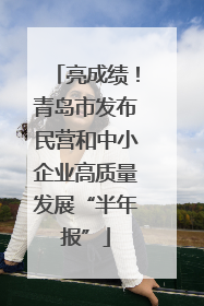 亮成绩！青岛市发布民营和中小企业高质量发展“半年报”