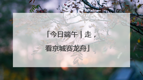 今日端午｜走，看京城赛龙舟