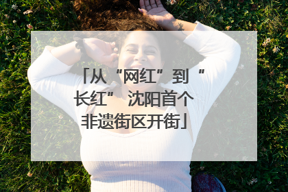 从“网红”到“长红” 沈阳首个非遗街区开街