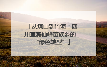 从煤山到竹海：四川宜宾仙峰苗族乡的“绿色转型”