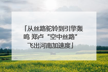 从丝路驼铃到引擎轰鸣 郑卢“空中丝路”飞出河南加速度