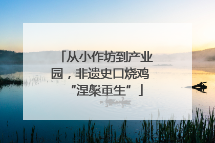 从小作坊到产业园，非遗史口烧鸡“涅槃重生”