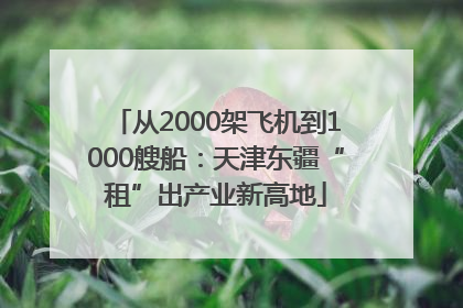 从2000架飞机到1000艘船：天津东疆“租”出产业新高地