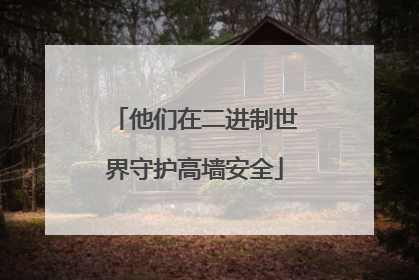 他们在二进制世界守护高墙安全