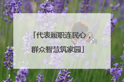 代表履职连民心，群众智慧筑家园