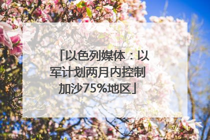 以色列媒体：以军计划两月内控制加沙75%地区