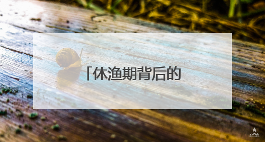 休渔期背后的电力守护者