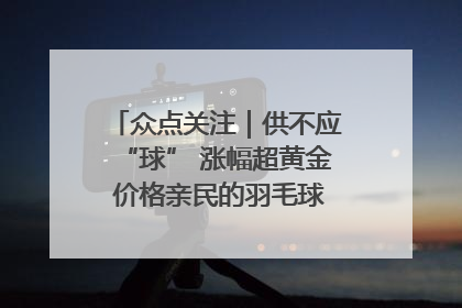 众点关注｜供不应“球” 涨幅超黄金 价格亲民的羽毛球为何身价飞涨？
