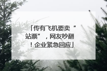 传有飞机要卖“站票”，网友吵翻！企业紧急回应