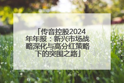 传音控股2024年年报：新兴市场战略深化与高分红策略下的突围之路