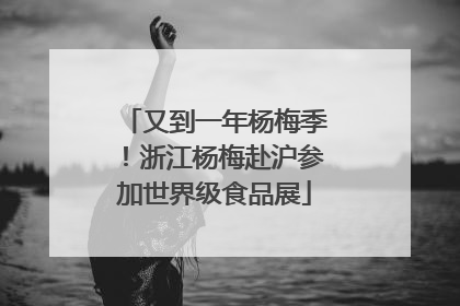 又到一年杨梅季！浙江杨梅赴沪参加世界级食品展
