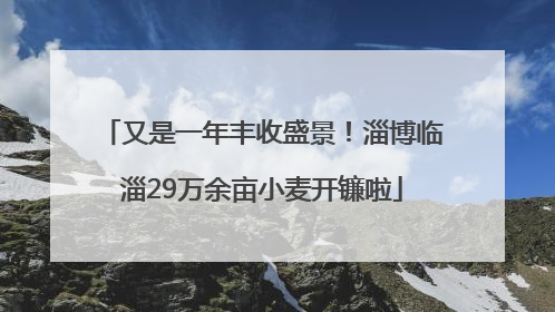 又是一年丰收盛景！淄博临淄29万余亩小麦开镰啦