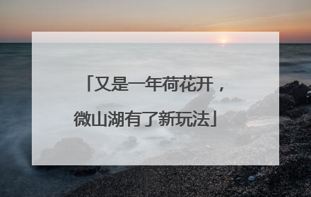 又是一年荷花开，微山湖有了新玩法