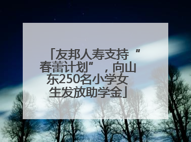 友邦人寿支持“春蕾计划”，向山东250名小学女生发放助学金