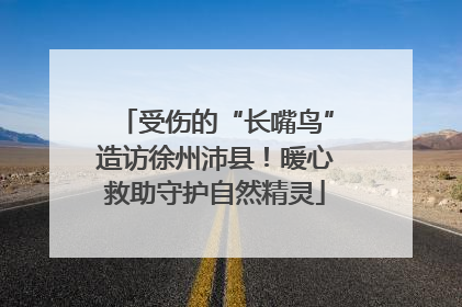 受伤的“长嘴鸟”造访徐州沛县！暖心救助守护自然精灵