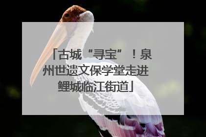 古城“寻宝”！泉州世遗文保学堂走进鲤城临江街道