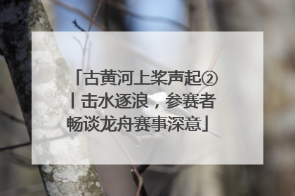 古黄河上桨声起②丨击水逐浪，参赛者畅谈龙舟赛事深意