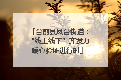 台前县凤台街道：“线上线下”齐发力 暖心验证进行时
