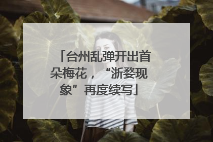 台州乱弹开出首朵梅花，“浙婺现象”再度续写