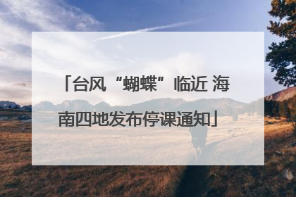 台风“蝴蝶”临近 海南四地发布停课通知