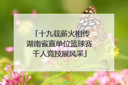十九载薪火相传 湖南省直单位篮球赛千人竞技展风采