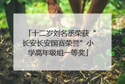 十二岁刘名丞荣获“长安长安国赛荣誉”小学高年级组一等奖