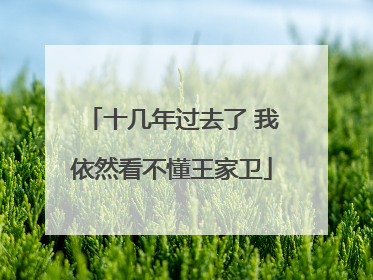 十几年过去了 我依然看不懂王家卫