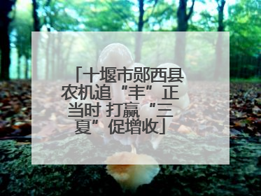 十堰市郧西县农机追“丰”正当时 打赢“三夏”促增收