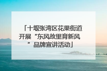 十堰张湾区花果街道开展“东风故里育新风”品牌宣讲活动