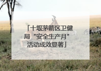 十堰茅箭区卫健局“安全生产月”活动成效显著