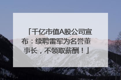 千亿市值A股公司宣布：续聘雷军为名誉董事长，不领取薪酬！